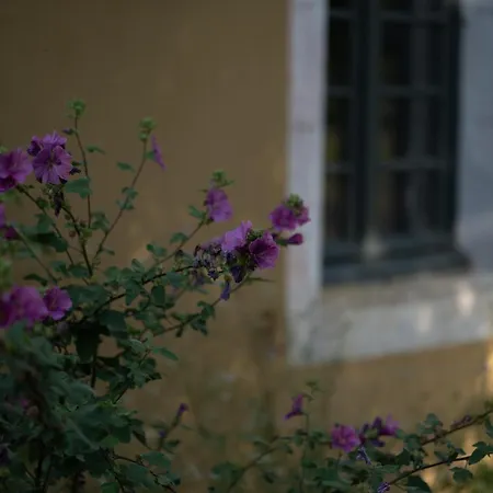 Apartment Maison Mirabelle *