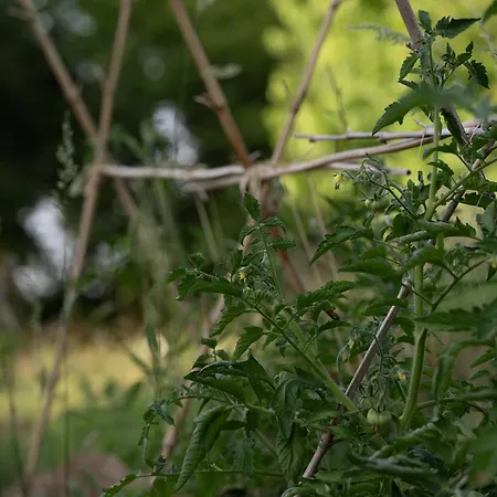 Maison Mirabelle Apartment *