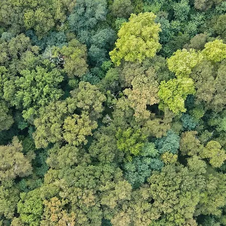 Apartment Maison Mirabelle