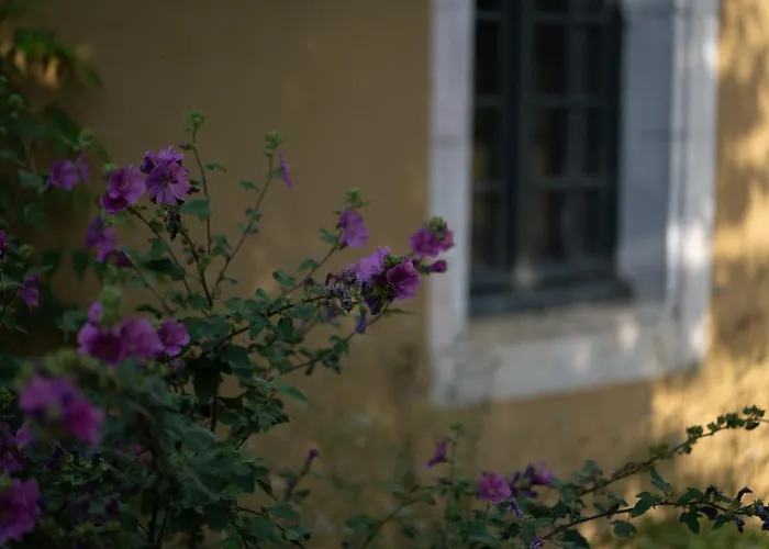 Apartamento Maison Mirabelle *