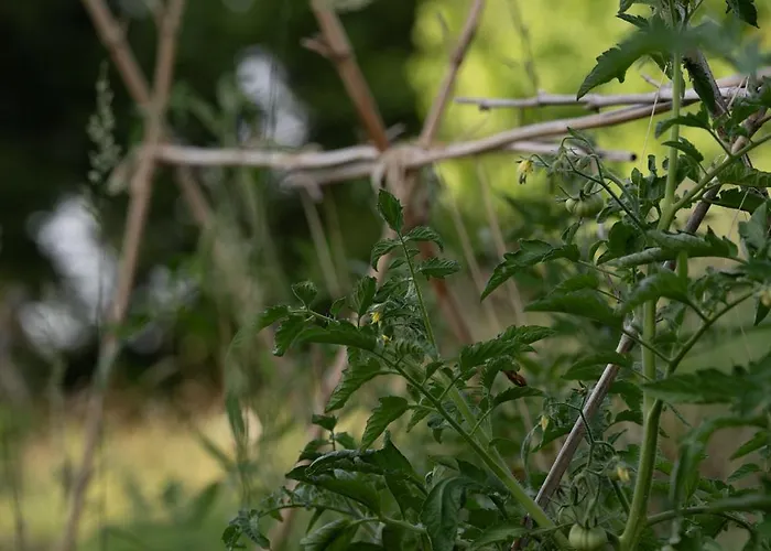 Maison Mirabelle Apartamento *