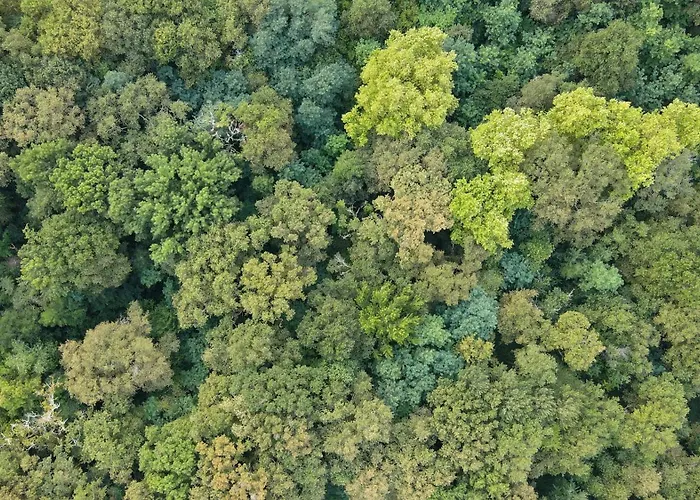 Apartamento Maison Mirabelle