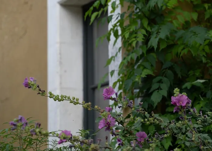 Maison Mirabelle * Gamarde-les-Bains